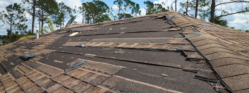 Roof Replacement Signs